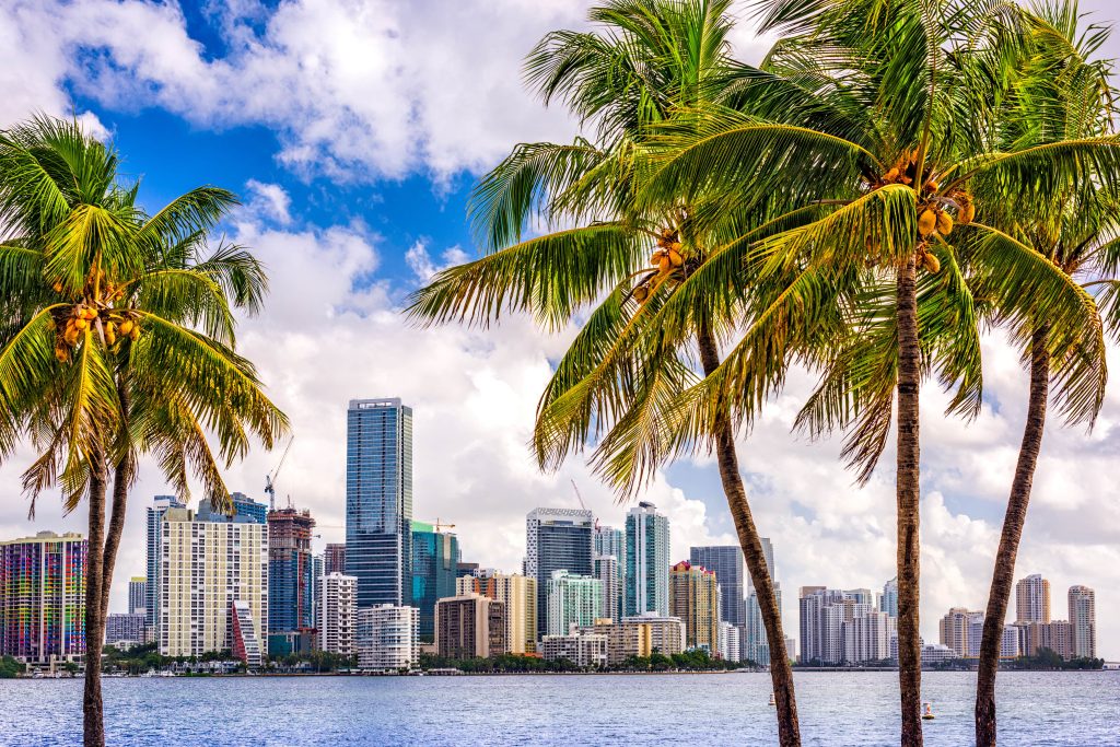 Miami Web Design and Development Company